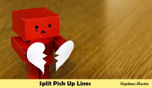 Split Pick Up Lines